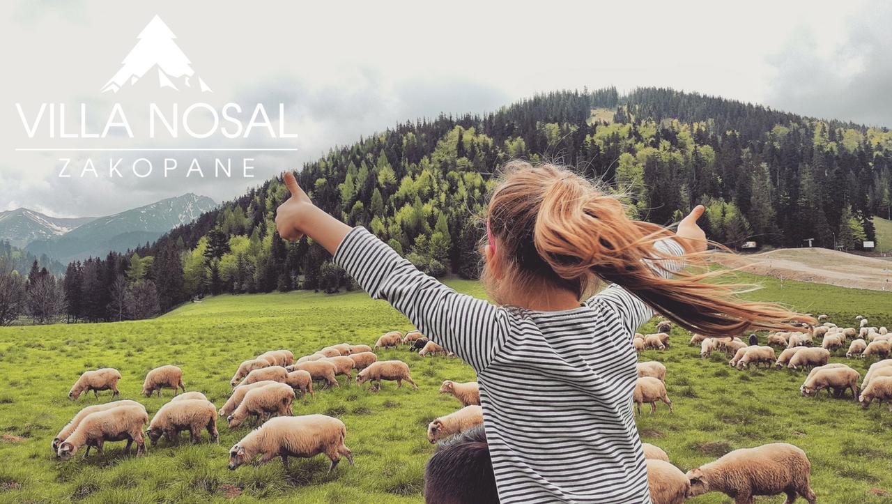 Nosal - Готель типу 
